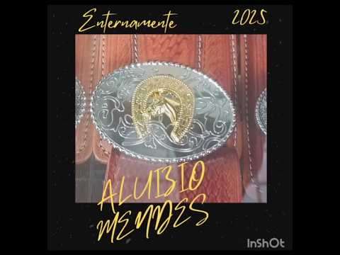 DE SÃO PAULO X VALPARAÍSO#aluiziosousa974#sertanejo#sertão#sertao#sertanejoraiz#funny#fypシ#ff#fypシ゚