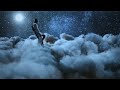 Dardan x Hava - Mailbox Dardan x Hava - Mailbox
