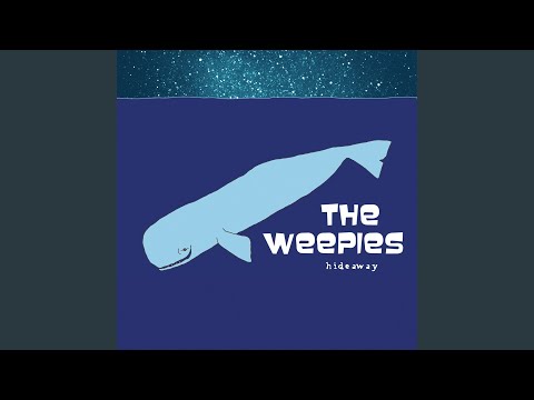 Wish I Could Forget - The Weepies