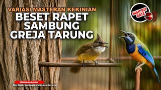 Download lagu 🔴 Live Beset Mewah Sambung Greja Necret Masteran Cucak Cungkok Gacor vs Cucak Jenggot Beset Speed mp3
