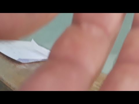 U13 - S.Sabina Azzurra vs Volare Volley Rossa