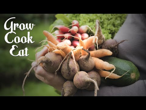 Прев'ю відео