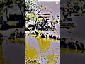 Gori Tera Gaon Bada Pyara Status WhatsApp Status ️ ️ Youtubeshorts Status Anuj Viral