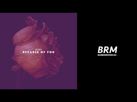 BRM PREMIERE: Kuzey - Because of You (Original Mix) [Barbur Music]