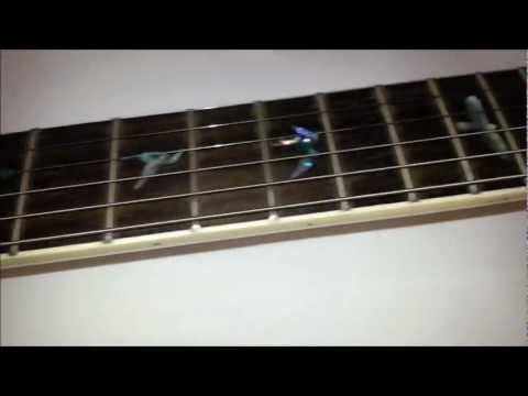 Grote Guitar - Chinese PRS Custom 22 Review