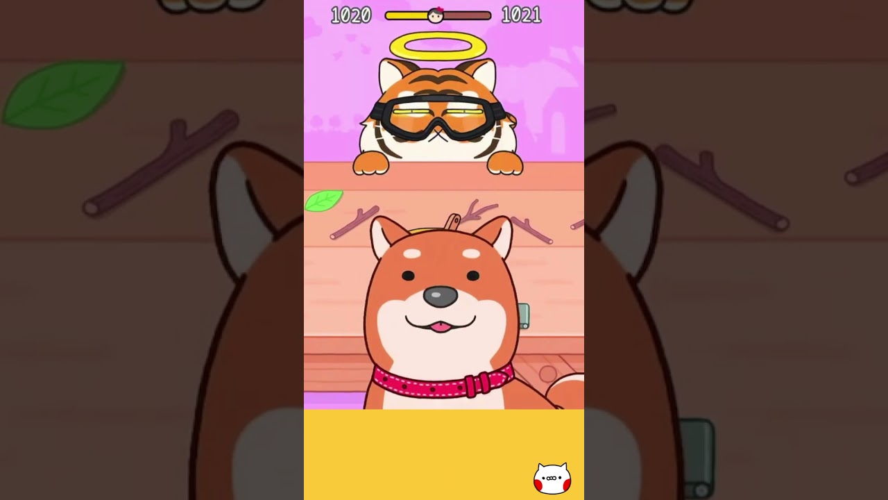 【猫雑学】ヒゲの長さは体の幅と同じ：狭い場所を通れるか測るためのセンサー　hide and seek🐱 1020 #shorts  #猫にみつかるな　   #hideandseek