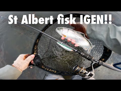 St Albert Havørred Fiskeri Ærø Del 1