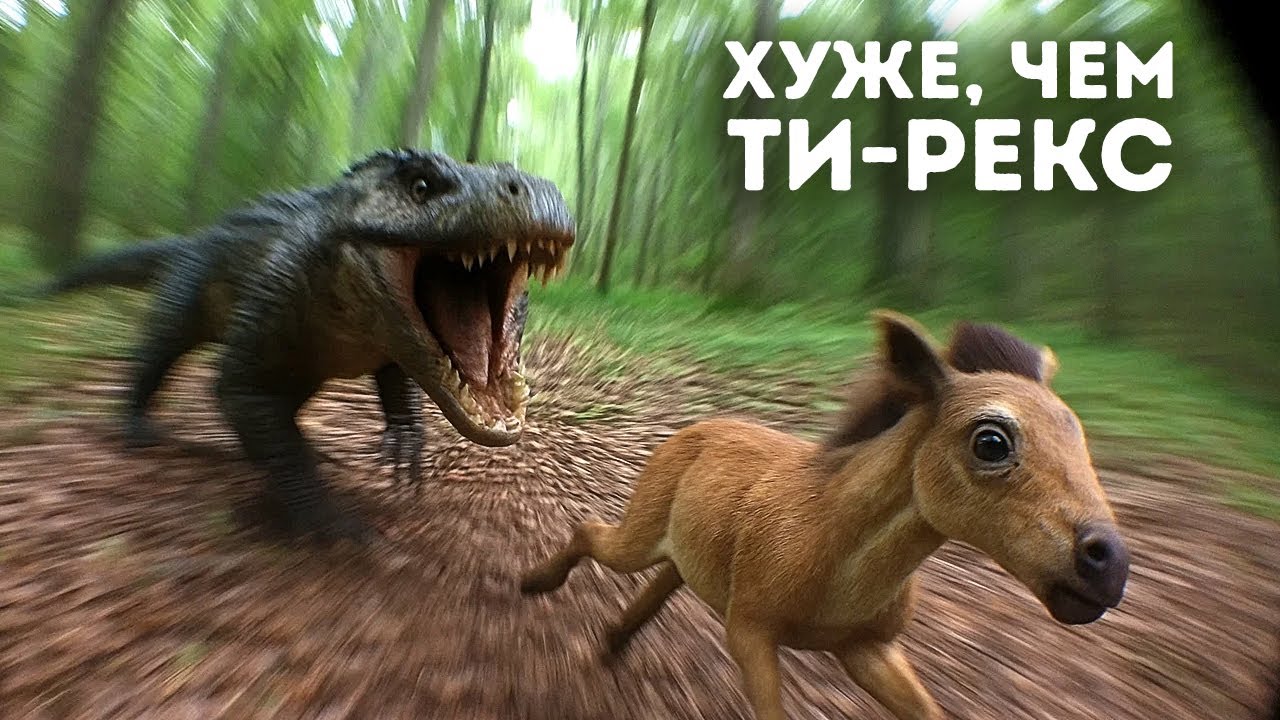 Учёные обнаружили уникального хищника размером с автобус в Карибском море