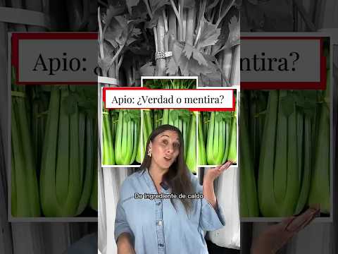 🥬 Del caldo al batido detox... el apio se ha convertido en toda una estrella.
