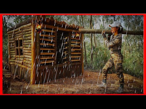 20 Days Alone | Build Strange Bushcraft Shelter With Big Trees In The Rainforest - P1