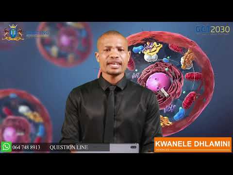 NATURAL SCIENCES GRADE 9 : CELLS AS BASIC UNITS OF LIFE