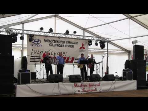 Dolenjski trio - Harmonika [Ansambel bratov Poljanšek]