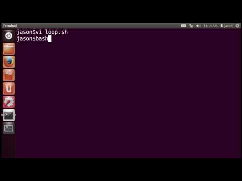 Bash Scripting Basics Part 3