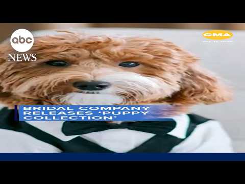 Bridal company releases 'puppy collection'