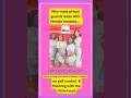 How Attractive Female Inmates Sleep W Male Prison Guards How The Game Works Prison Jail