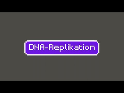 DNA-Replikation - einfach erklärt!