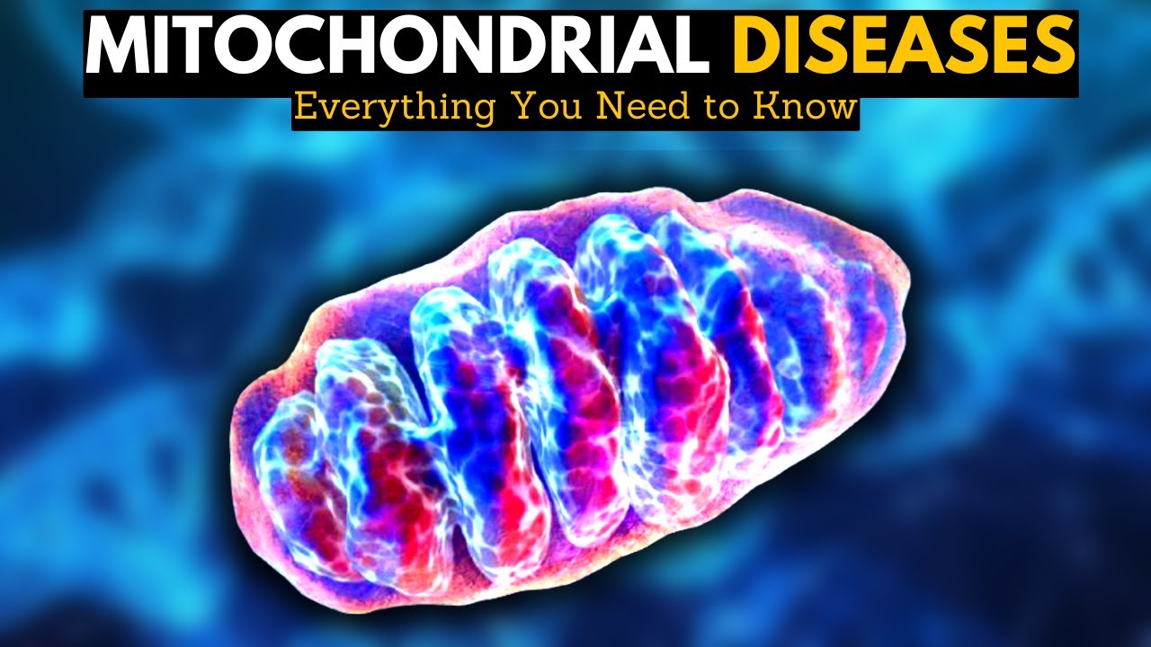 Mitochondrial Diseases: Everything You Need to Know