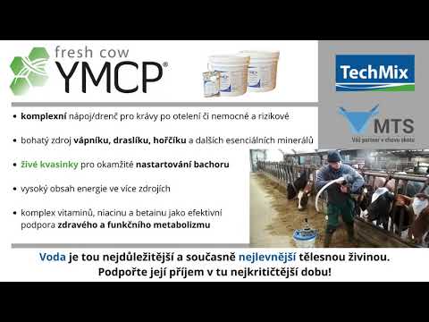 , title : 'MTS: Nápoj/drenč pro krávy - Fresh Cow YMCP + ukázka drenčování'