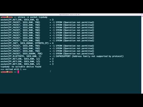 Packet Capture Basics - Sockets