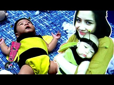 Rafathar 'Si Bayi Lebah' - Cumicam 17 November 2015