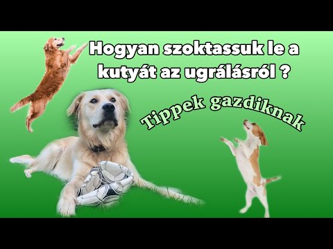 férgek aláírják, hogyan kell kezelni