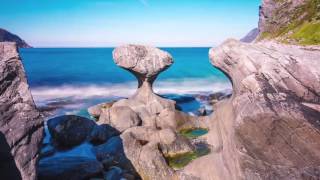 DISCANTUS - Dona nobis pacem