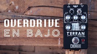 Video thumbnail for Paradox Effects | Terran On Bass by Paradox Effects