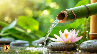 Tranquil Birdsong Music, Relaxing Music for Stress Relief, Spa River Sounds, Meditation Music, Zen