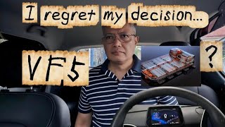 I Made a Mistake In Buying My VinFast VF5? A Battery Subscription Reality! 