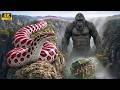 King Kong Vs Titanoboa The Most Dangerous Hunt Yet P 7