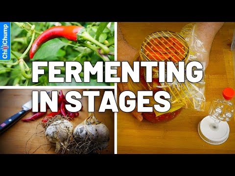 The Best Way to Ferment Peppers When They Don’t Ripen All at Once