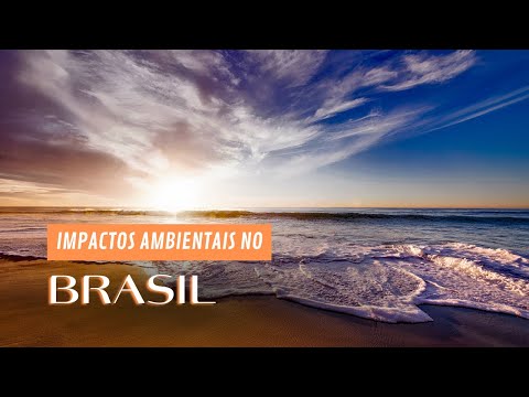 Os Impactos Ambientais no Brasil