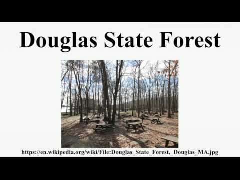 Douglas State Forest
