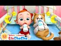 Kucing Kecil Di Rumah Kami Kucing Yang Imut Lagu Anak Anak LiaChaCha Bahasa Indonesia