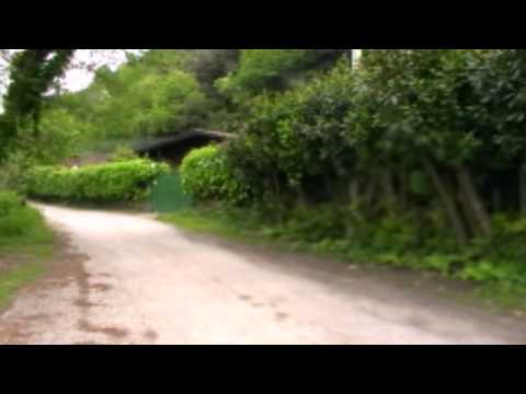 ESPERIMENTI VIDEO: EFFETTO FLASH