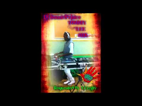 Dj SoundPrince Tommy Lee Mix (Y.Crafty Song Request)