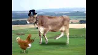 Disco Stomp 2 RE-Recorded 2008. Hamiltom Bohannon. Enjoy