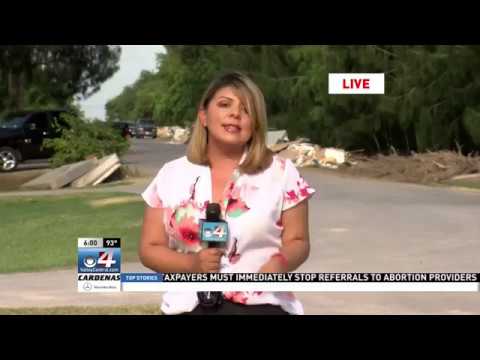 Storm damage cleanup