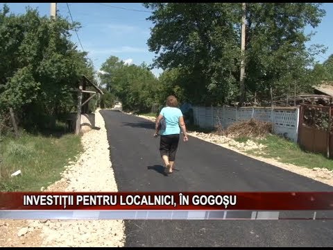 INVESTItII PENTRU LOCALNICI, iN GOGOsU