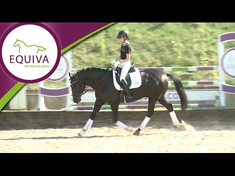 EQUIVA-Dressurserie Teil 2: Grundlagen der Lösungsphase