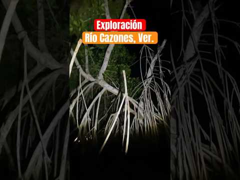 Exploración Extrema de noche en RÍO CAZONES, VERACRUZ