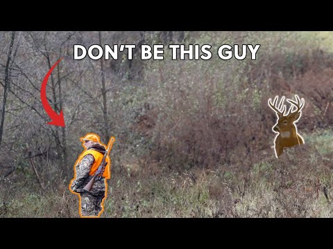 This Is Why You’re Not Seeing Deer