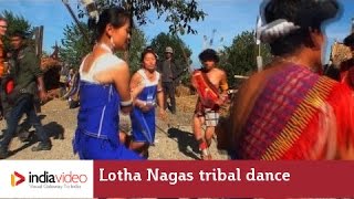 Lotha Nagas tribal dance, hornbill festival 