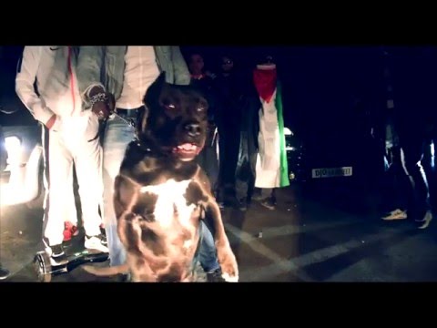 Djo la S - Assimilé