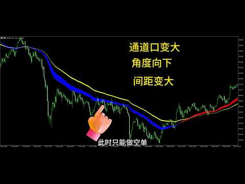 Video Dynamic Trend Fill Pro