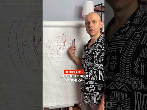 #клитор это не только головка! Наружные женские половые органы