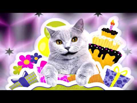 Cat Singing Happy Birthday for my friend hamida
