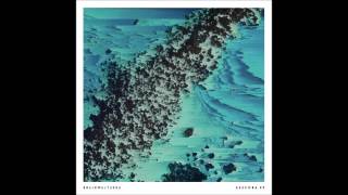 Brainwaltzera - 17 Acetonia (Au Pied de Cochon Aescoba)