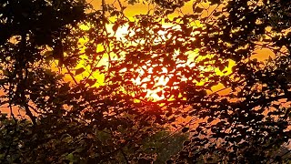 The Gathering of the Masters