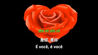 Download lagu shi ni (it's you) com letras em português e Chinês simplificado e Pinyin-uma bela canção chinesa mp3
